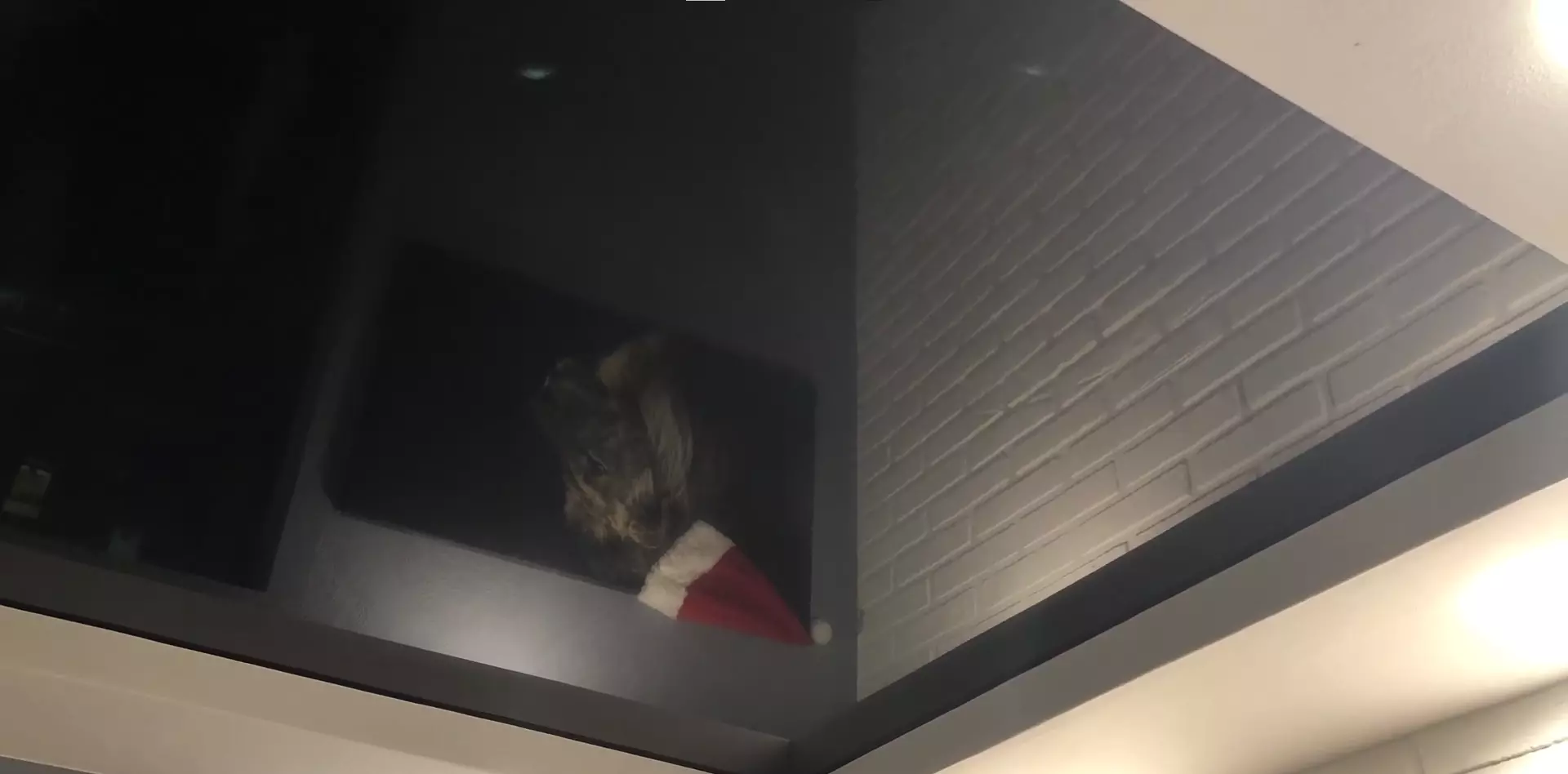 Череповец, Советский проспект, 84, фото 3