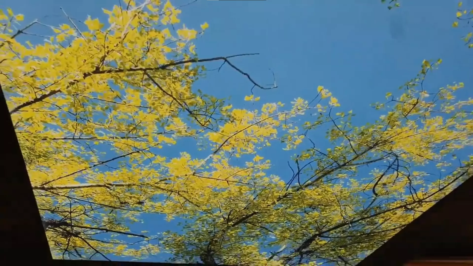 Сарапул, , фото 2