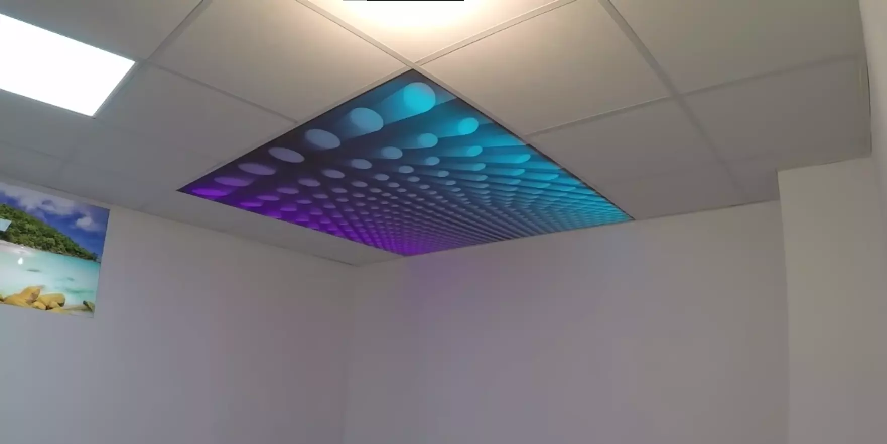 Череповец, Шекснинский проспект, 25а, фото 1