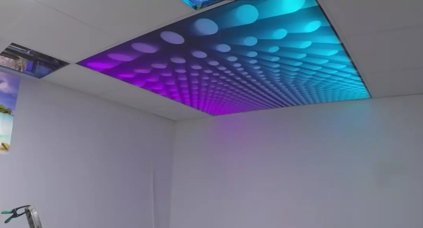 Череповец, Шекснинский проспект, 25а, фото 3